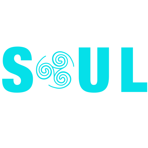 Soul Store